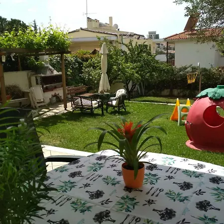 Panorama *