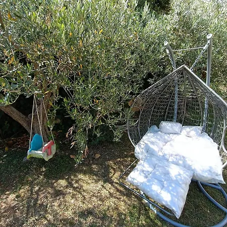 Panorama Daire *